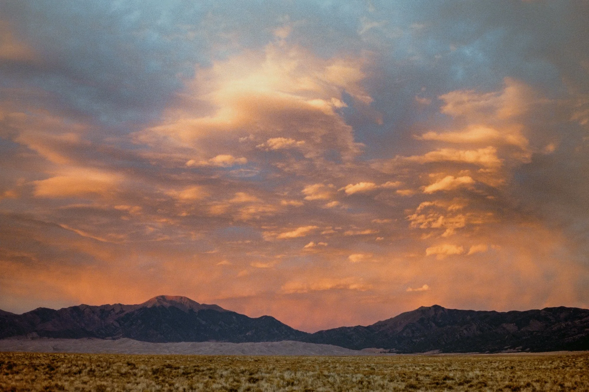 07_Portra400-7309107-positive.jpg