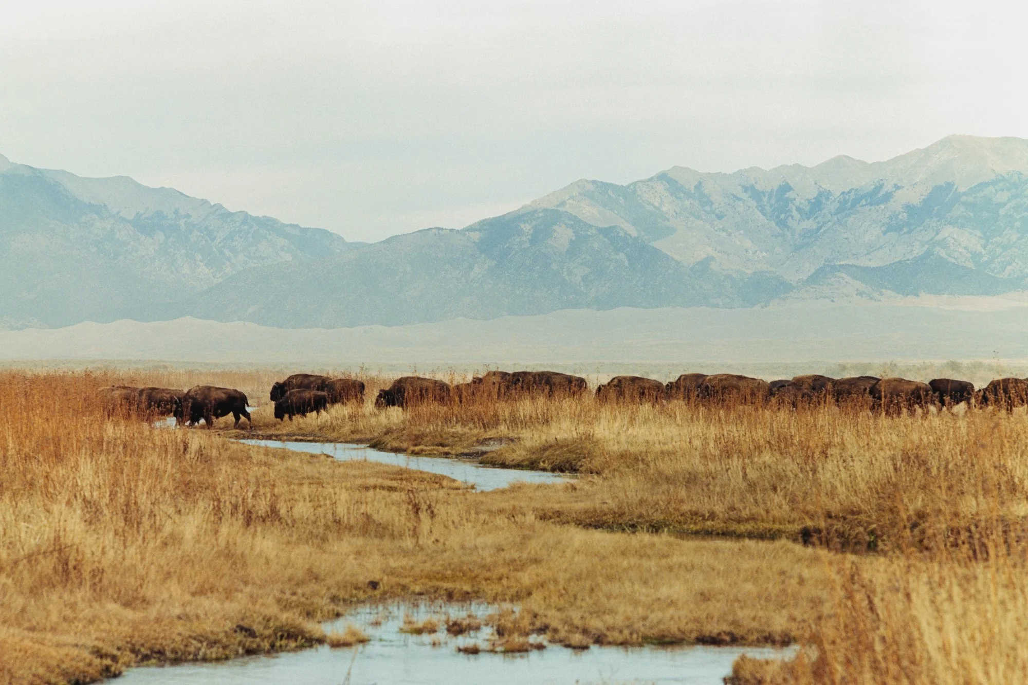 09_Portra400-7309170-positive.jpg