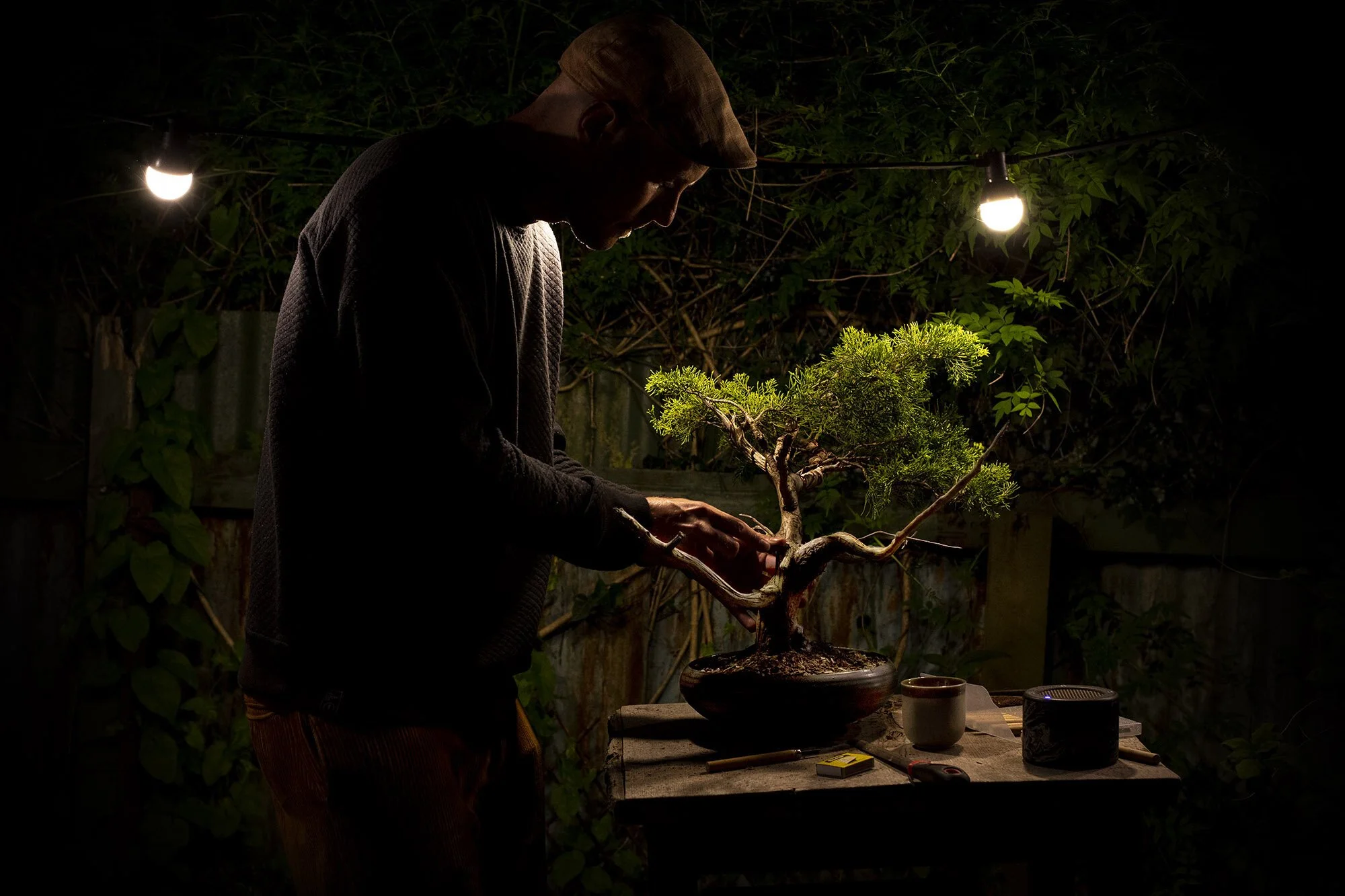 Designing a Tree (and not killing it)