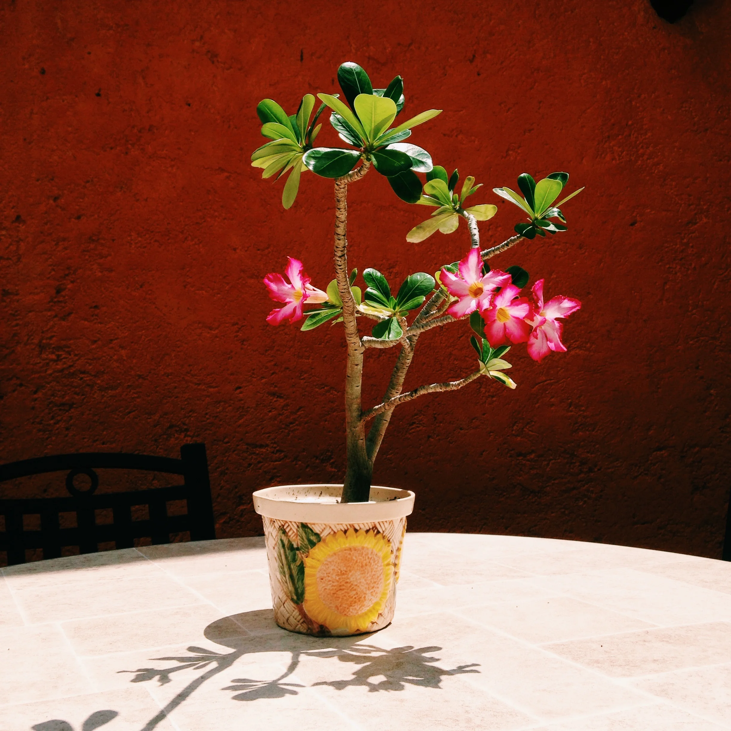  Playa Del Carmen, Mexico 