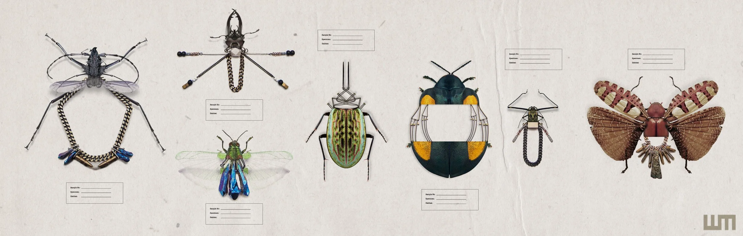 WildMoon_SS15_Specimen Chart-alt.jpg