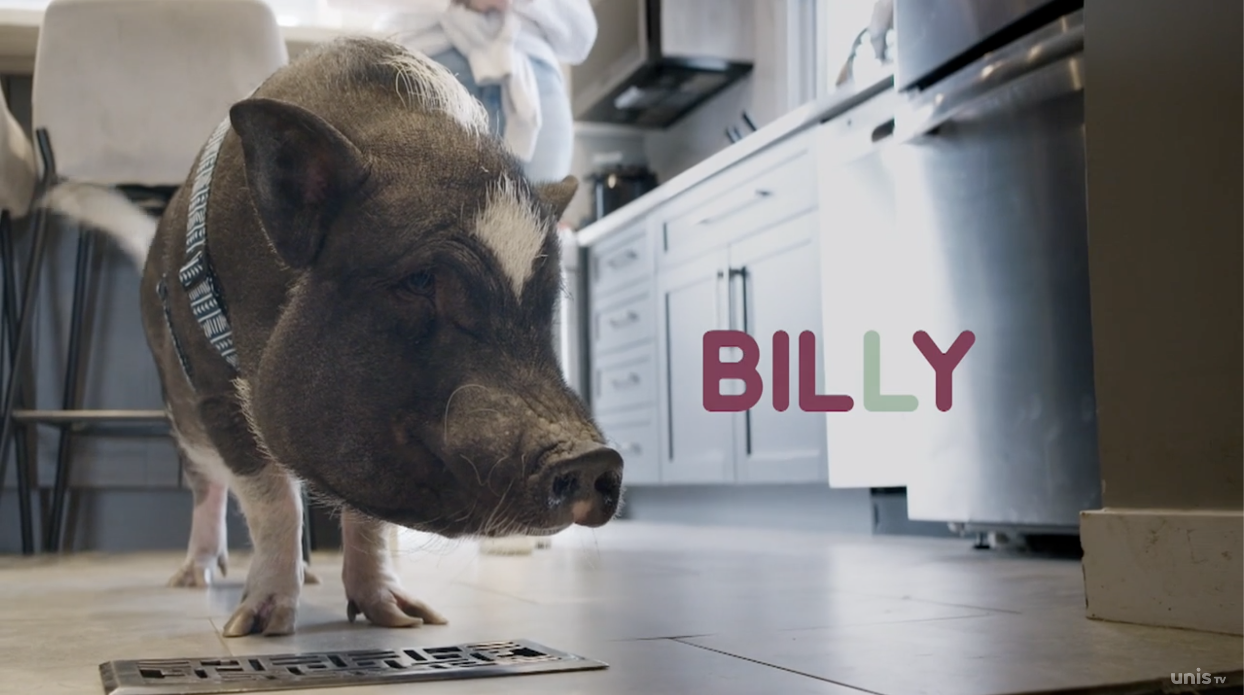 Screenshot 2025-05-28 at 4.47.09 AM.png