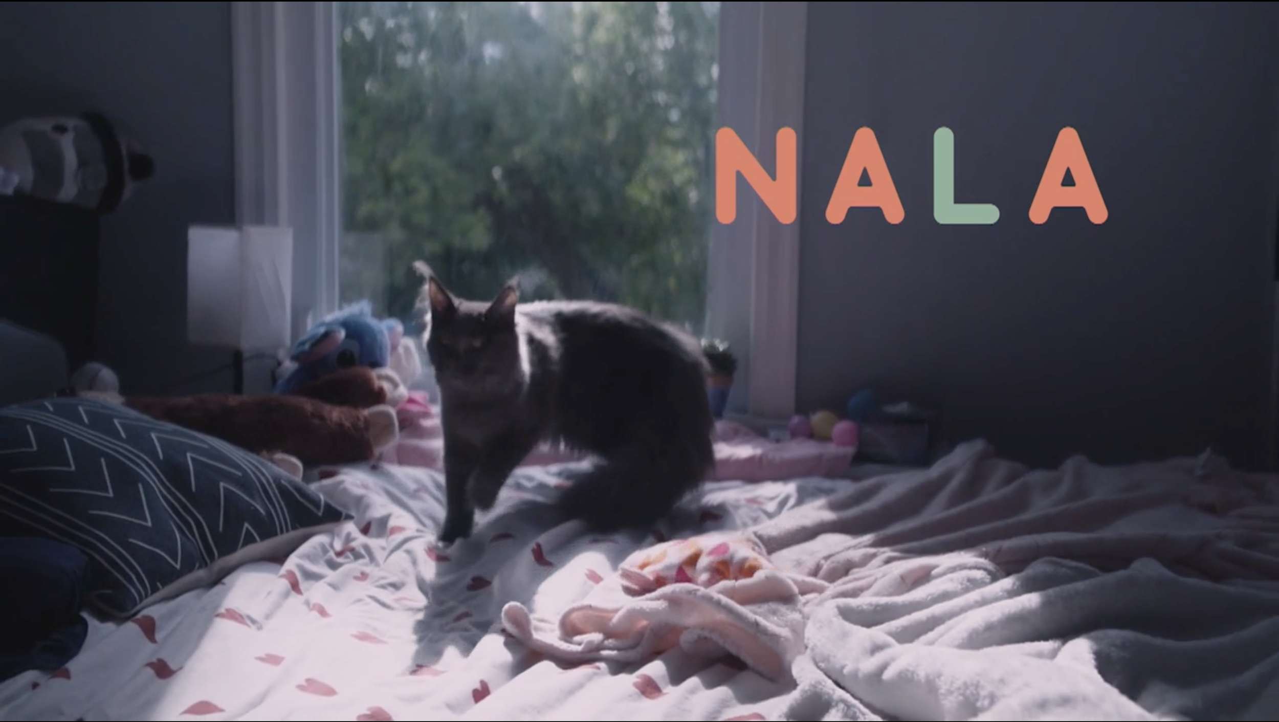 Screenshot 2025-05-28 at 4.59.14 AM.png