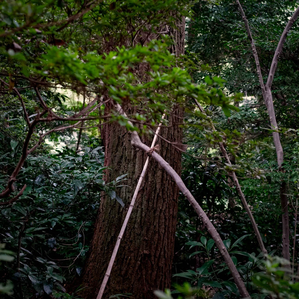 JapaneseCross web-.jpg
