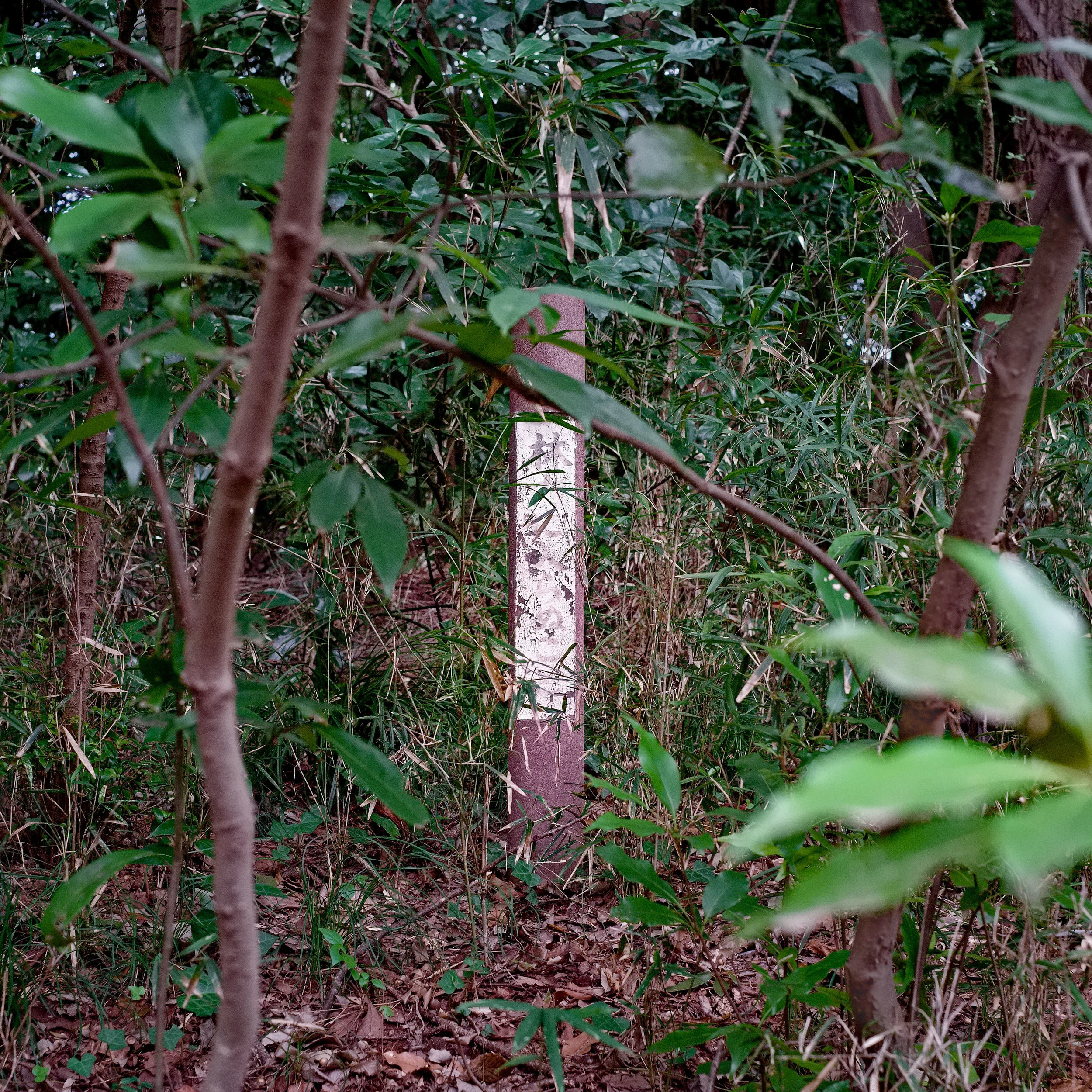 Heterotopia (7 of 33).jpg