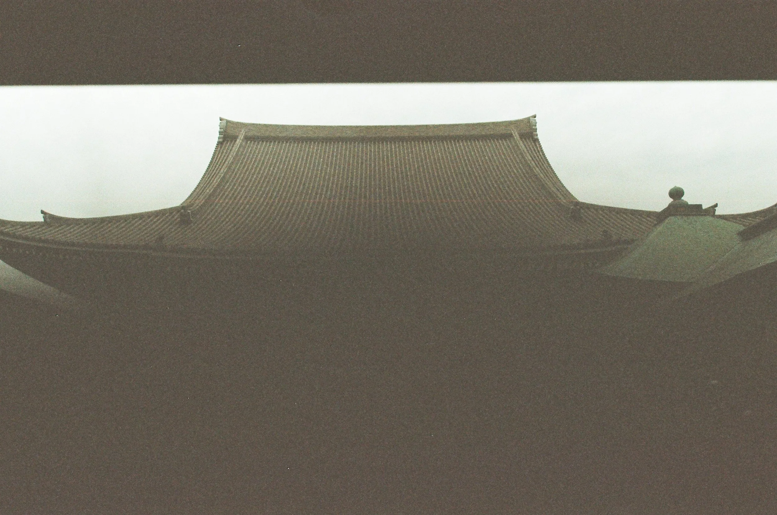 76490016.JPG