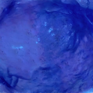 Brain Dead (2015) Chloe Higginbothom / Emma Zbiral Teller