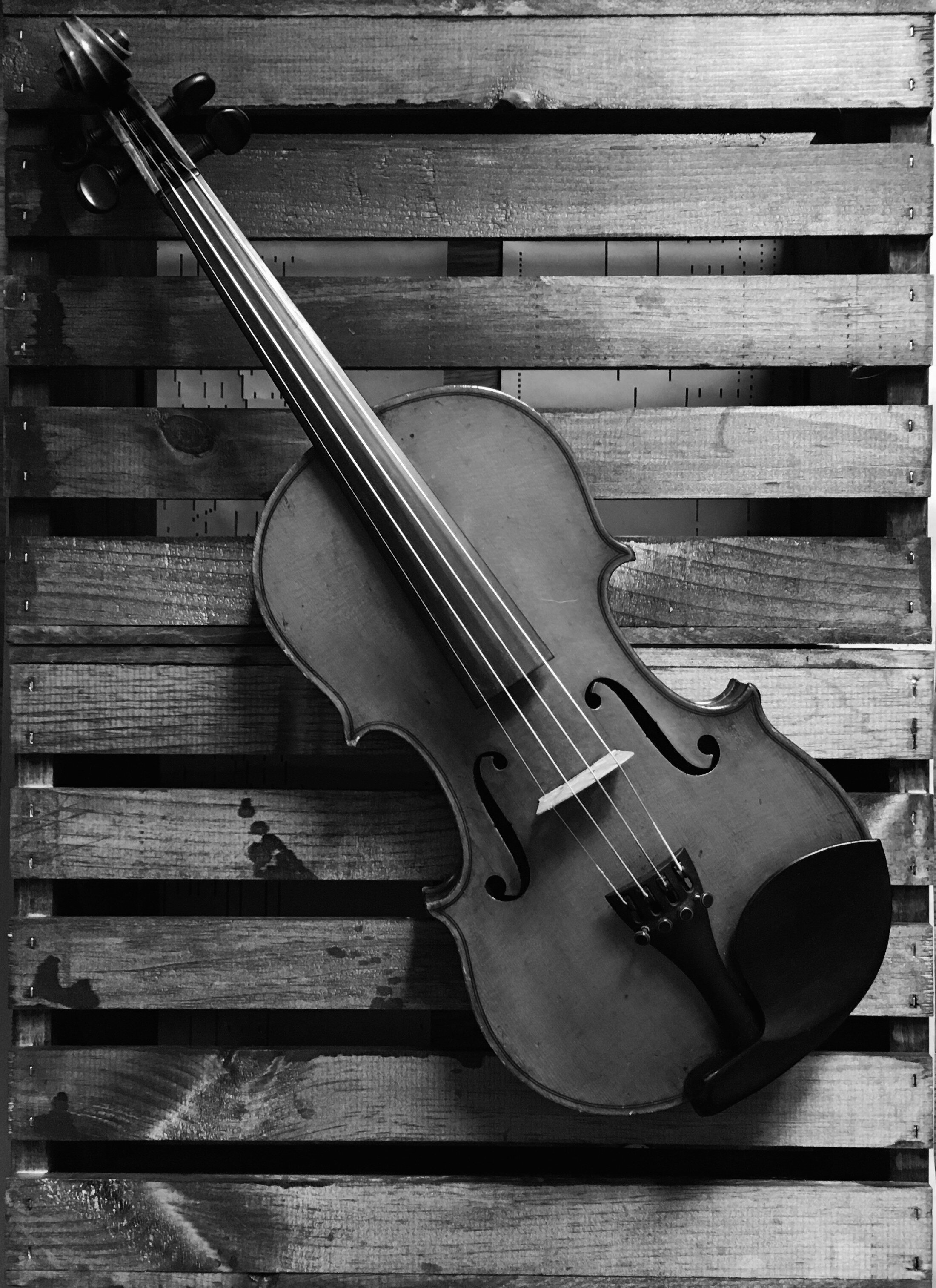 Violin 4 .jpg