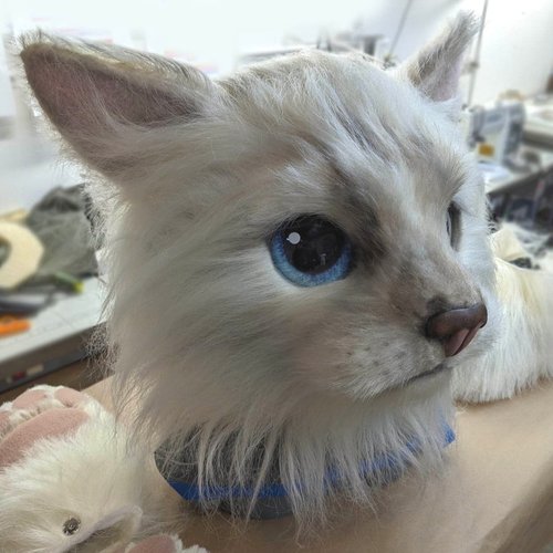 Met Gala 2023 - Choupette Cat Suit — SCPS Unlimited - We Create What  Doesn\'t Exist