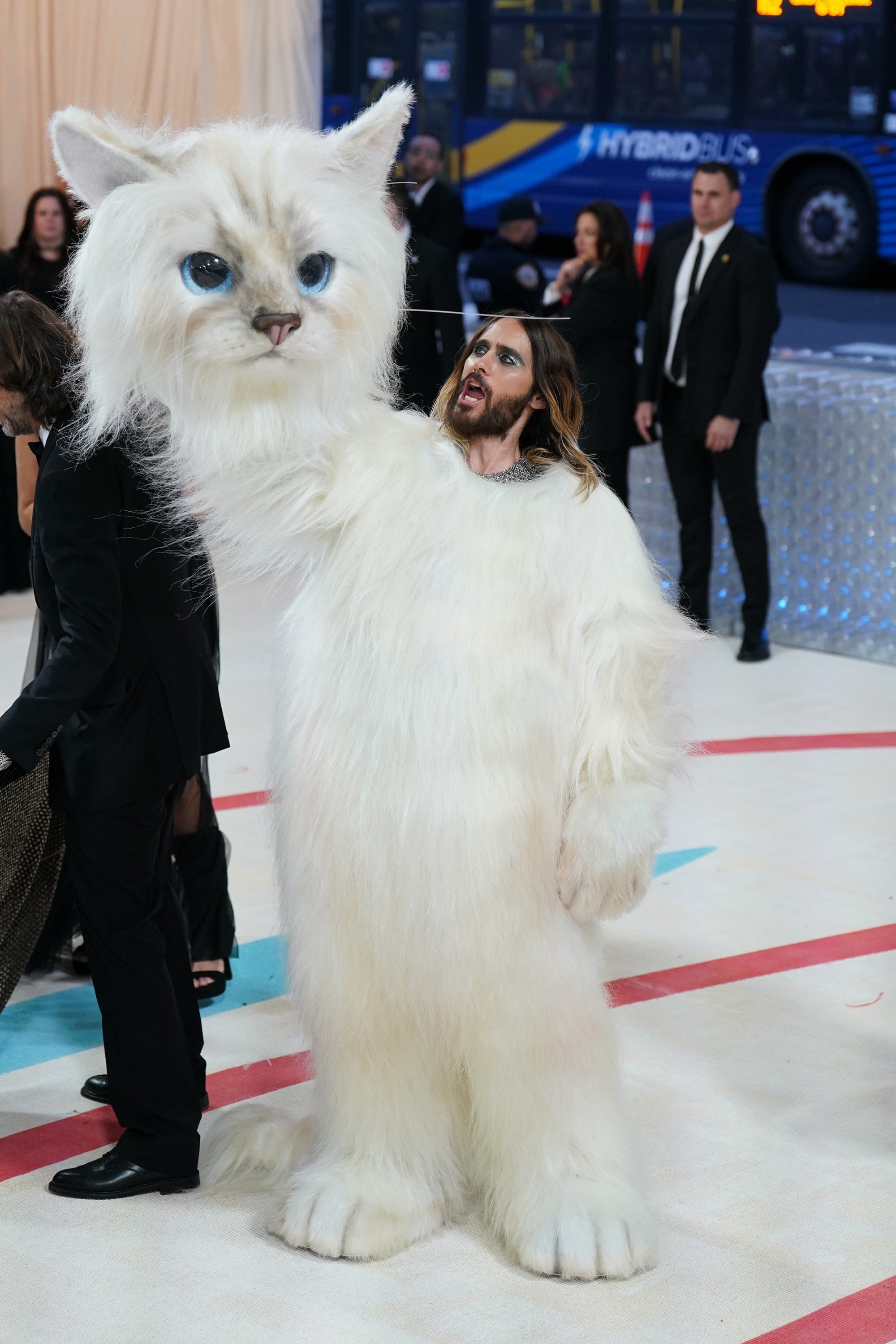 Met Gala 2023 - Choupette Cat Suit — SCPS Unlimited - We Create What  Doesn't Exist