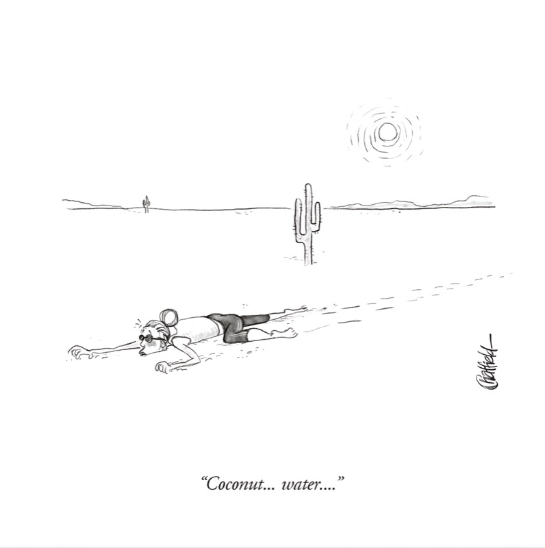Toon Tuesdays #3: Coconut... Water... - New Yorker Cartoonist Jason  Chatfield