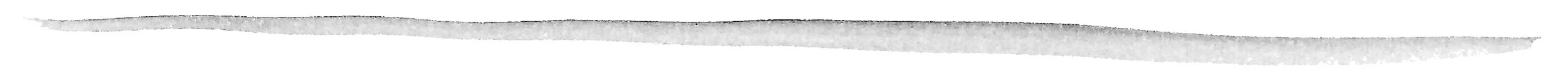 grey line.jpg