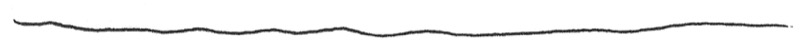 divider long.jpg