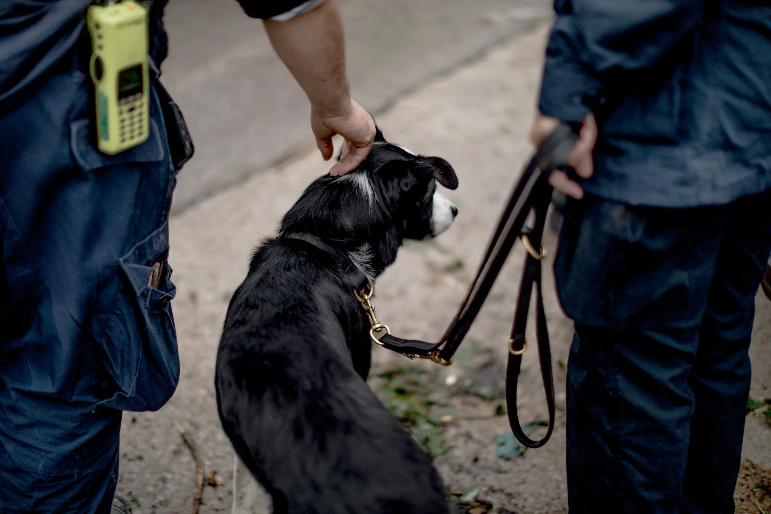 Walt Goodman, left, a FEMA search and rescue serviceman, pets Matty the dog on Ellis Boulevard on May 23, 2019 in Jefferson City.