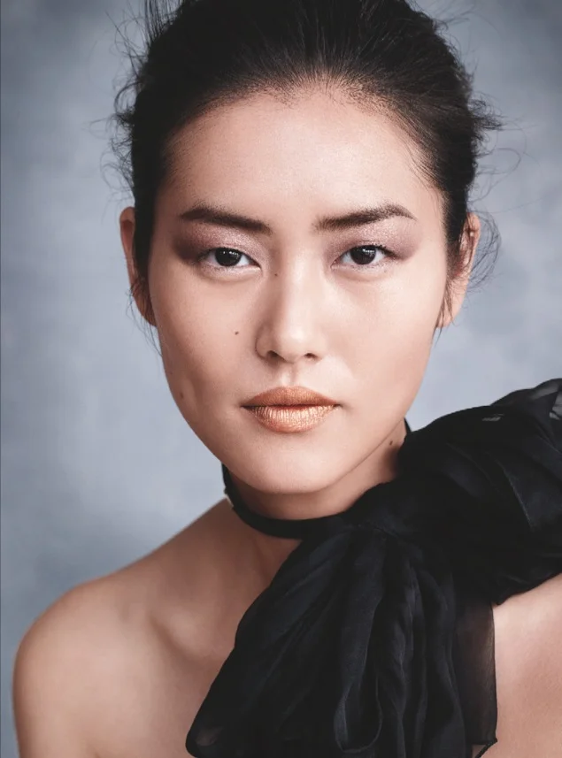 Liu Wen