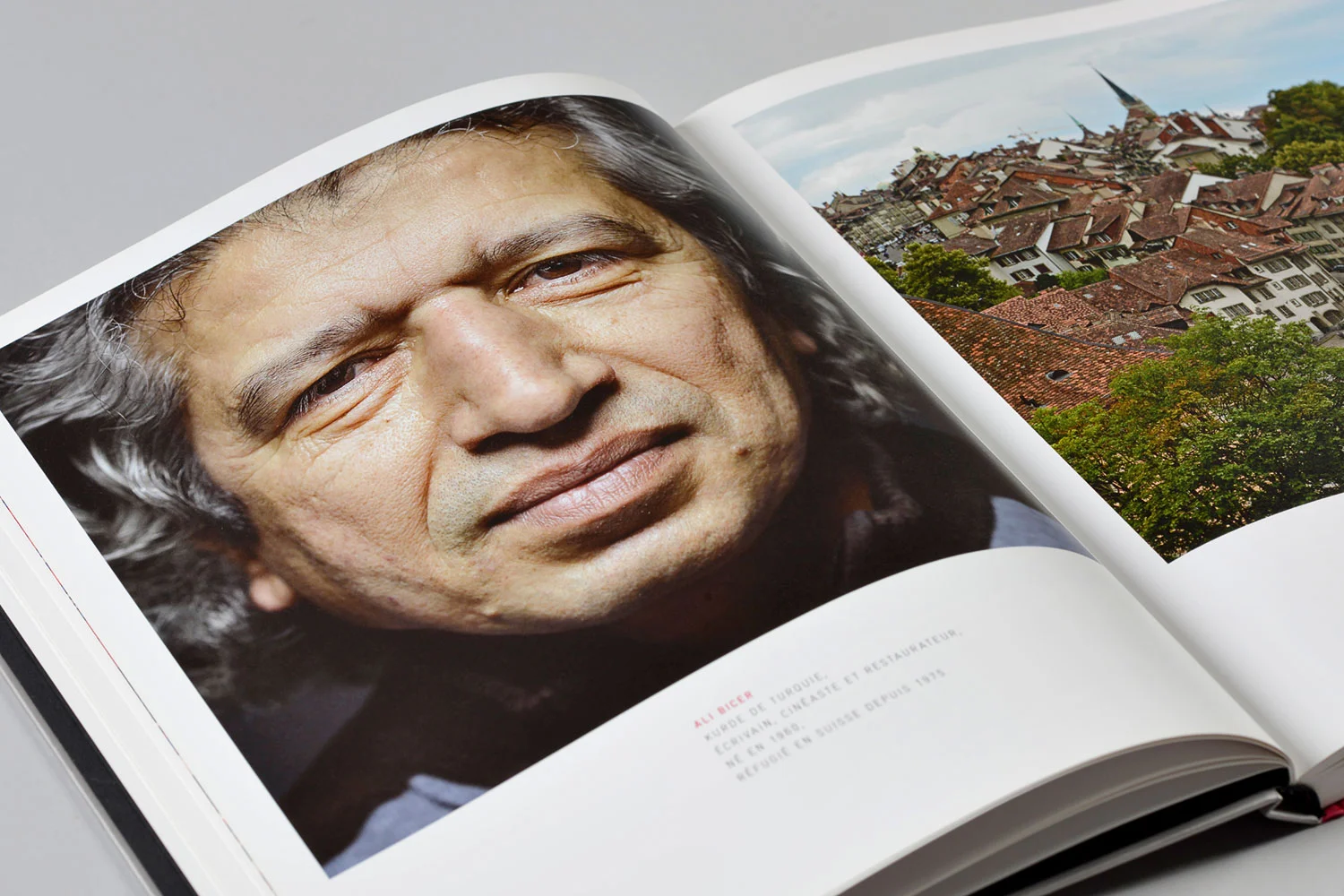 Babel Suisse Babel Schweiz Copyright Bertrand Cottet