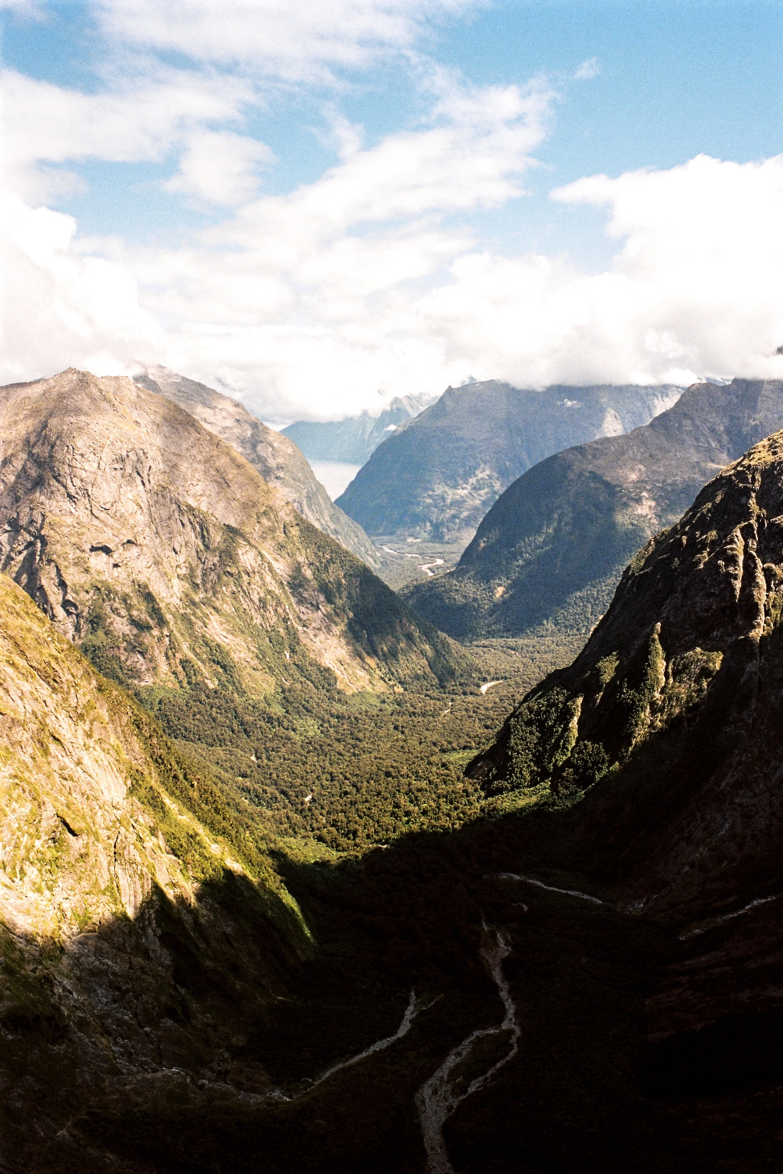 New-Zealand-35mm-(5).jpg