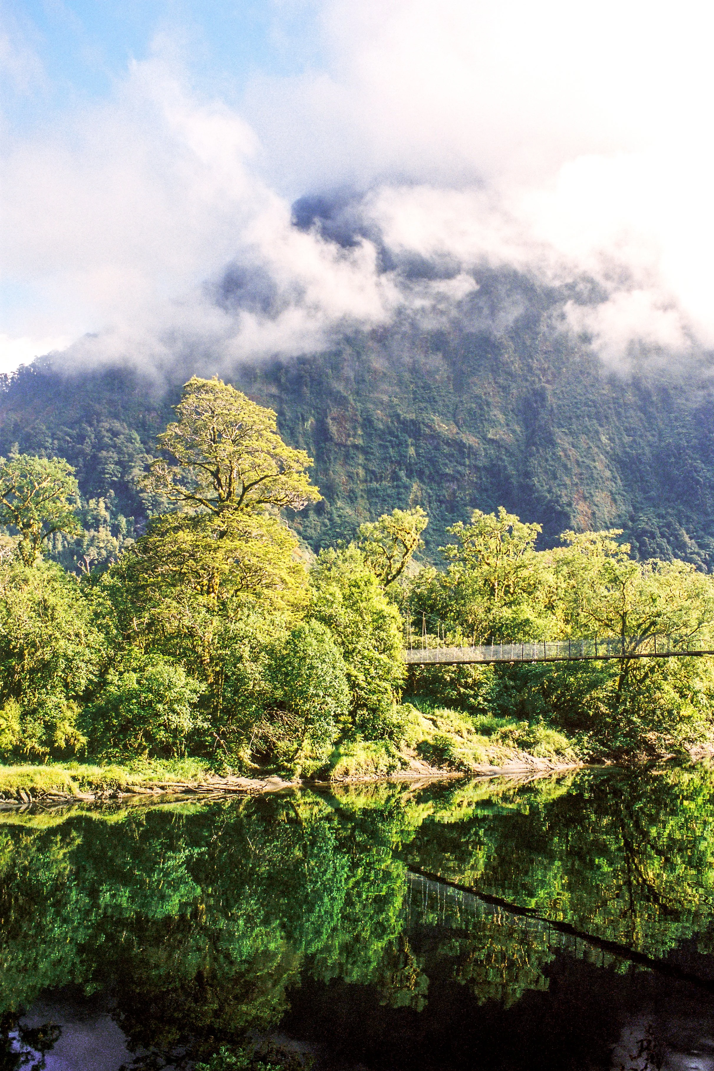 New-Zealand-35mm-(15).jpg