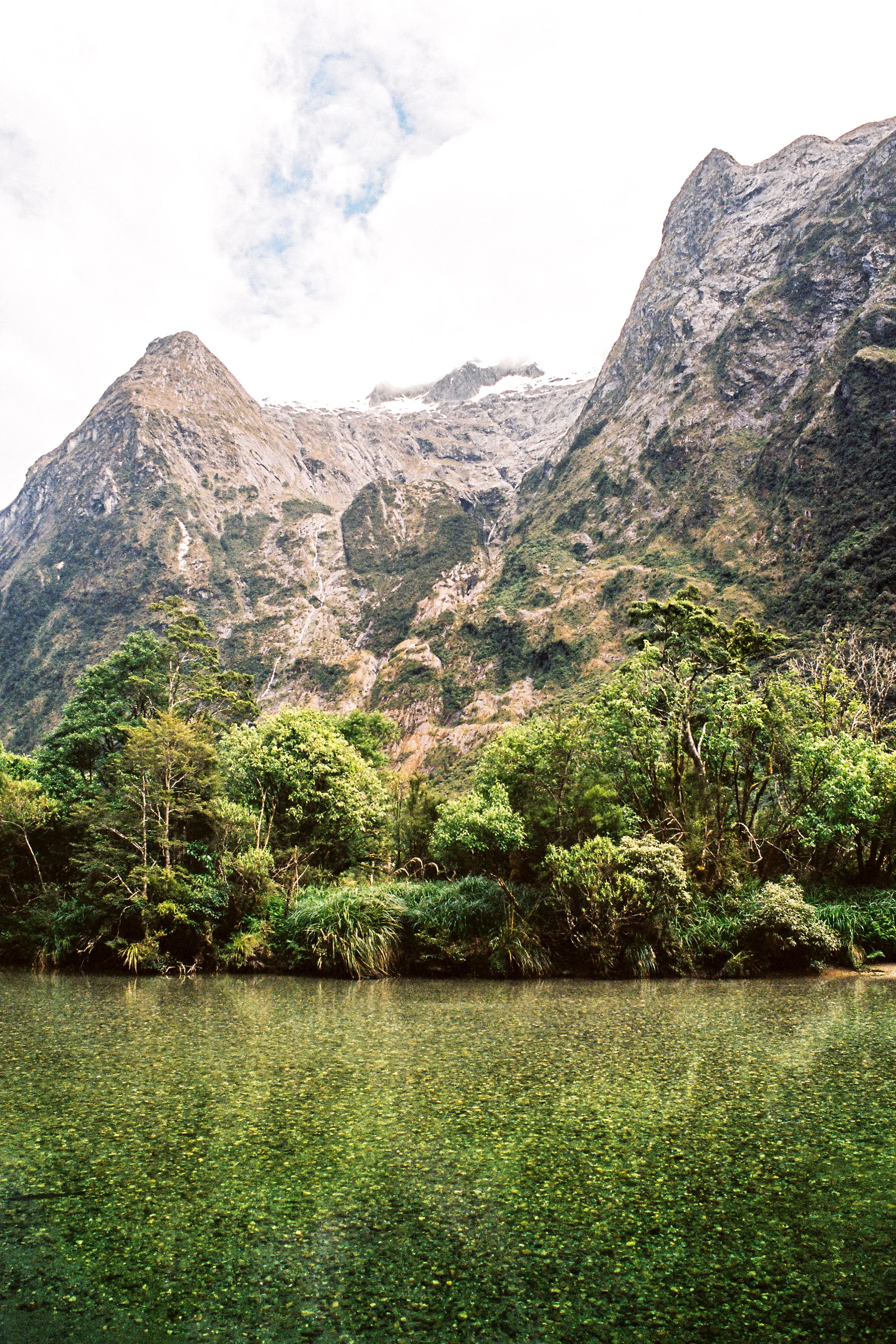 New-Zealand-35mm-(14).jpg