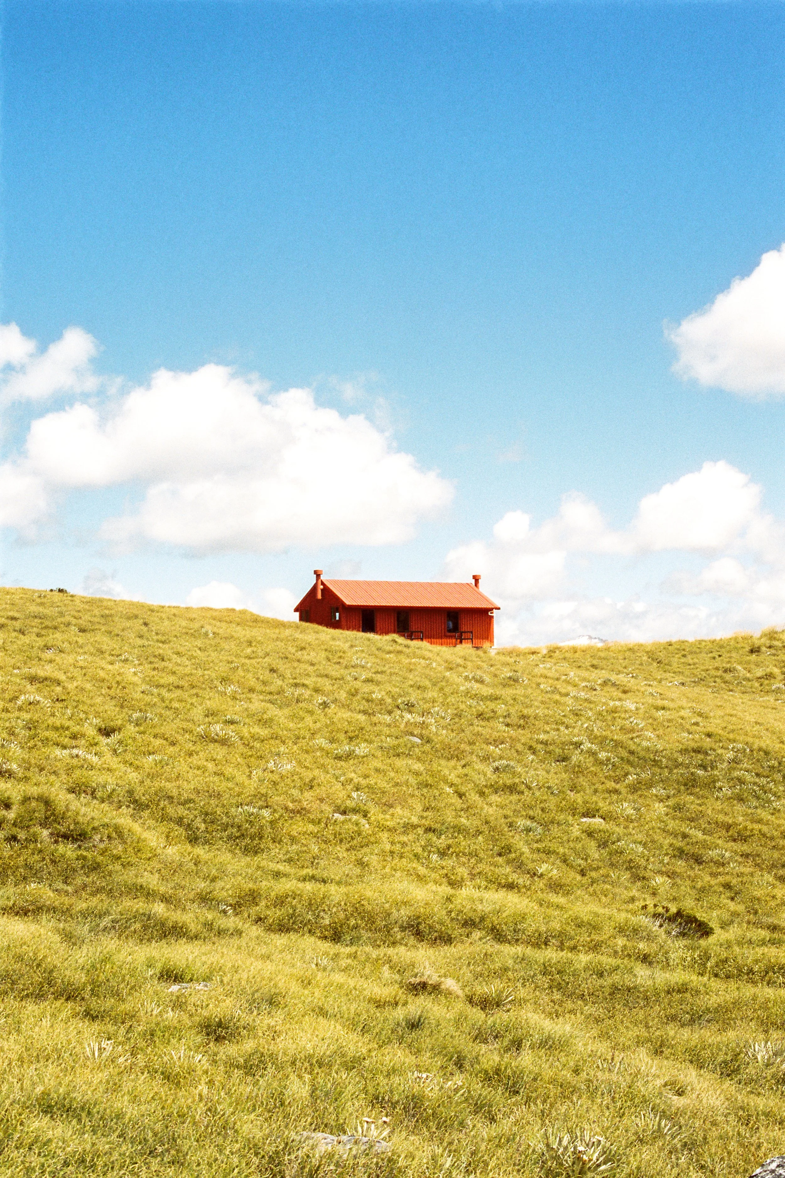 New-Zealand-35mm-(7).jpg