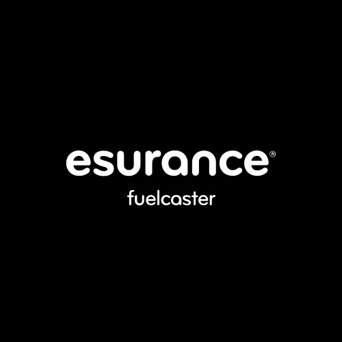 safespace_esurance_Logo copy.jpg