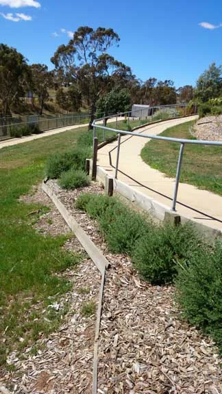 path.jpg