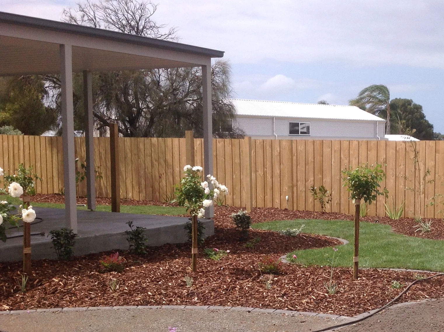 New Home - Roses.JPG