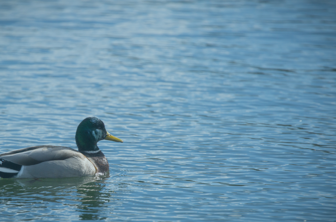 Want to Feel Calmer? Learn How to Trust Your Marketing Inertia!