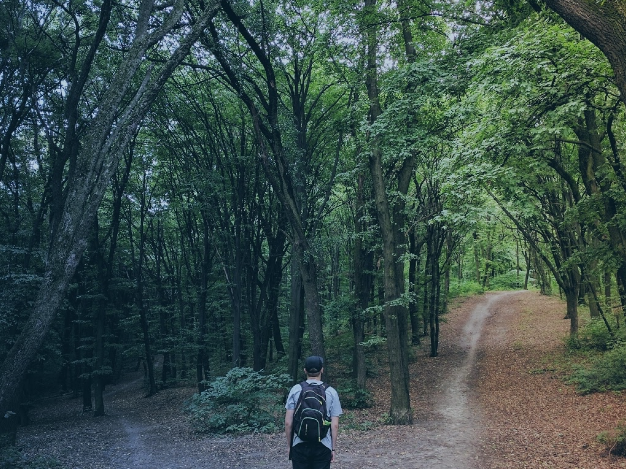 How to Shift Internally to Make the Best Decisions