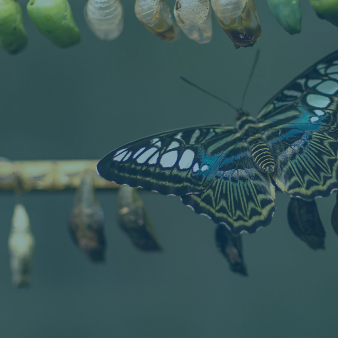 Seize Your Process! 3 Steps to Improve Your Conversion Rate