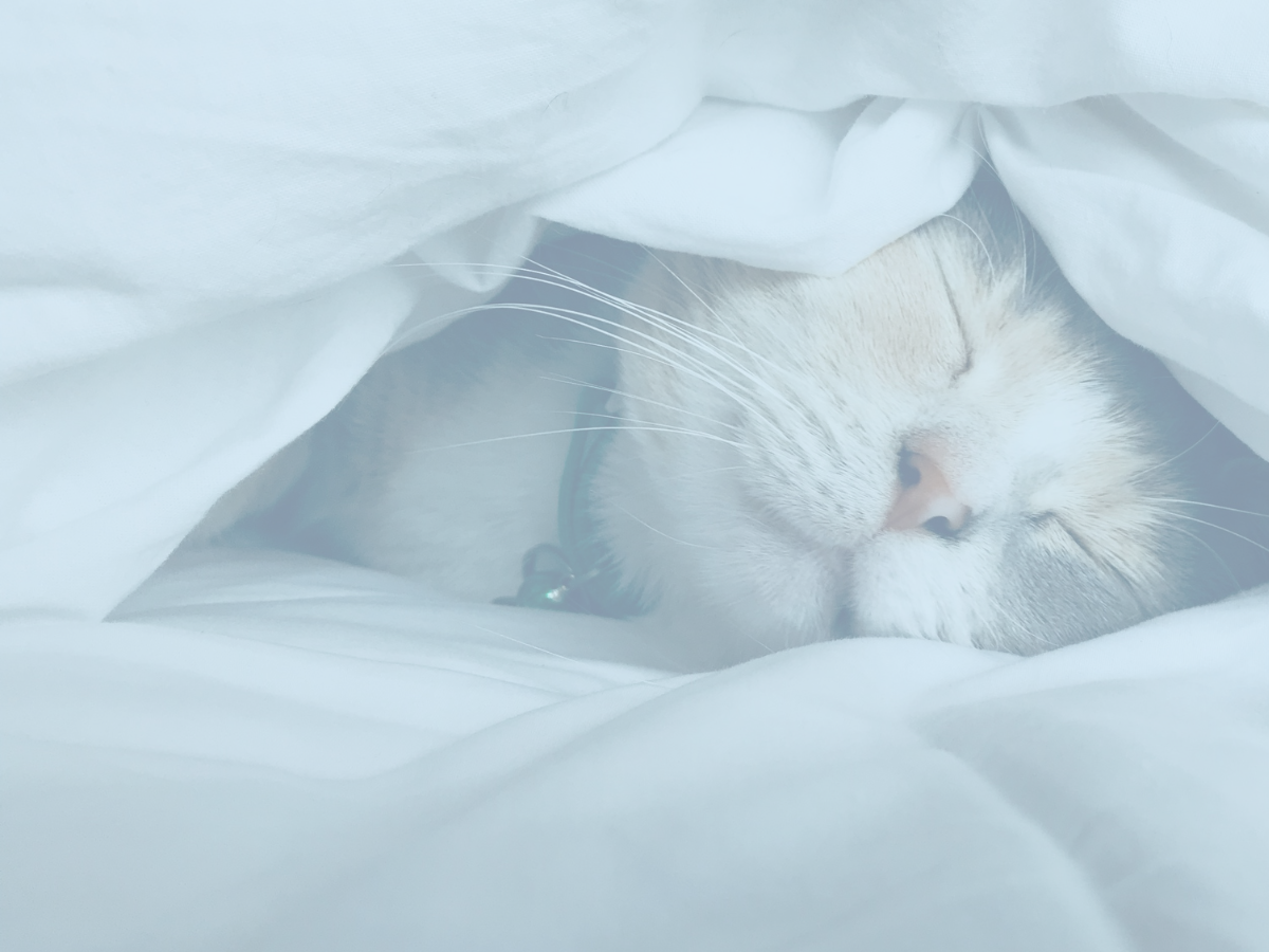 Want a Risk-Free Business? Learn 3 Ways to Keep Yourself Protected