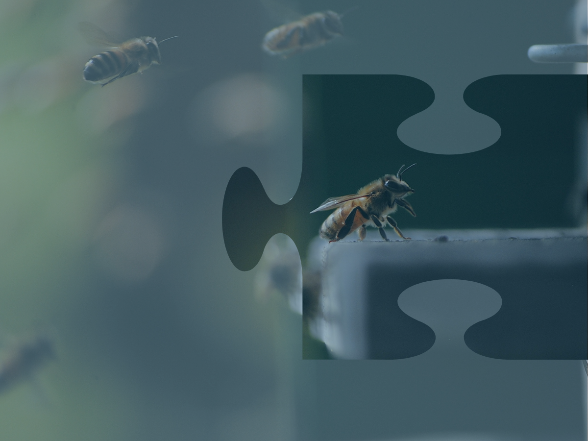 How Self-Employed Entrepreneurs Can Contribute to Solving Big Problems