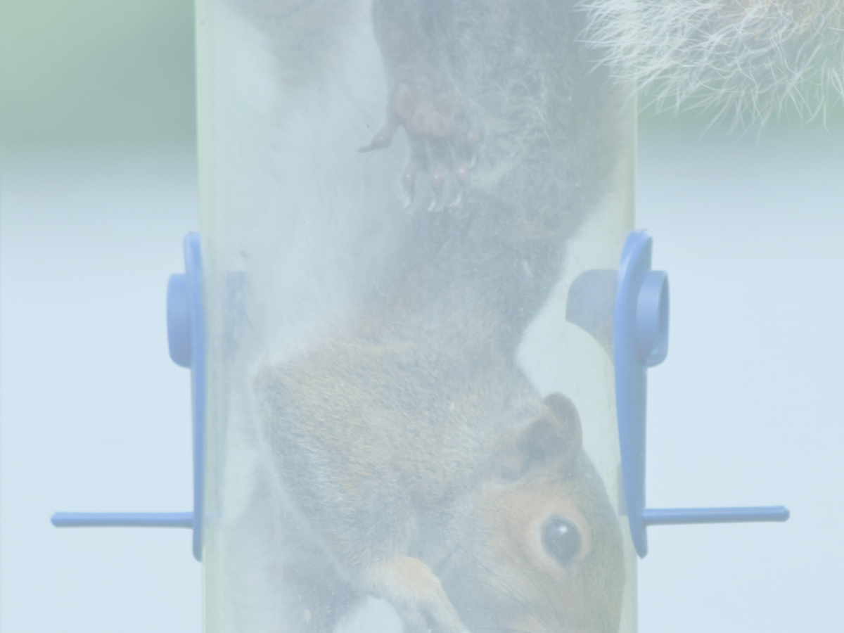 Self-Employed and Stuck? 4 Parts of Marketing You Actually Need to Know