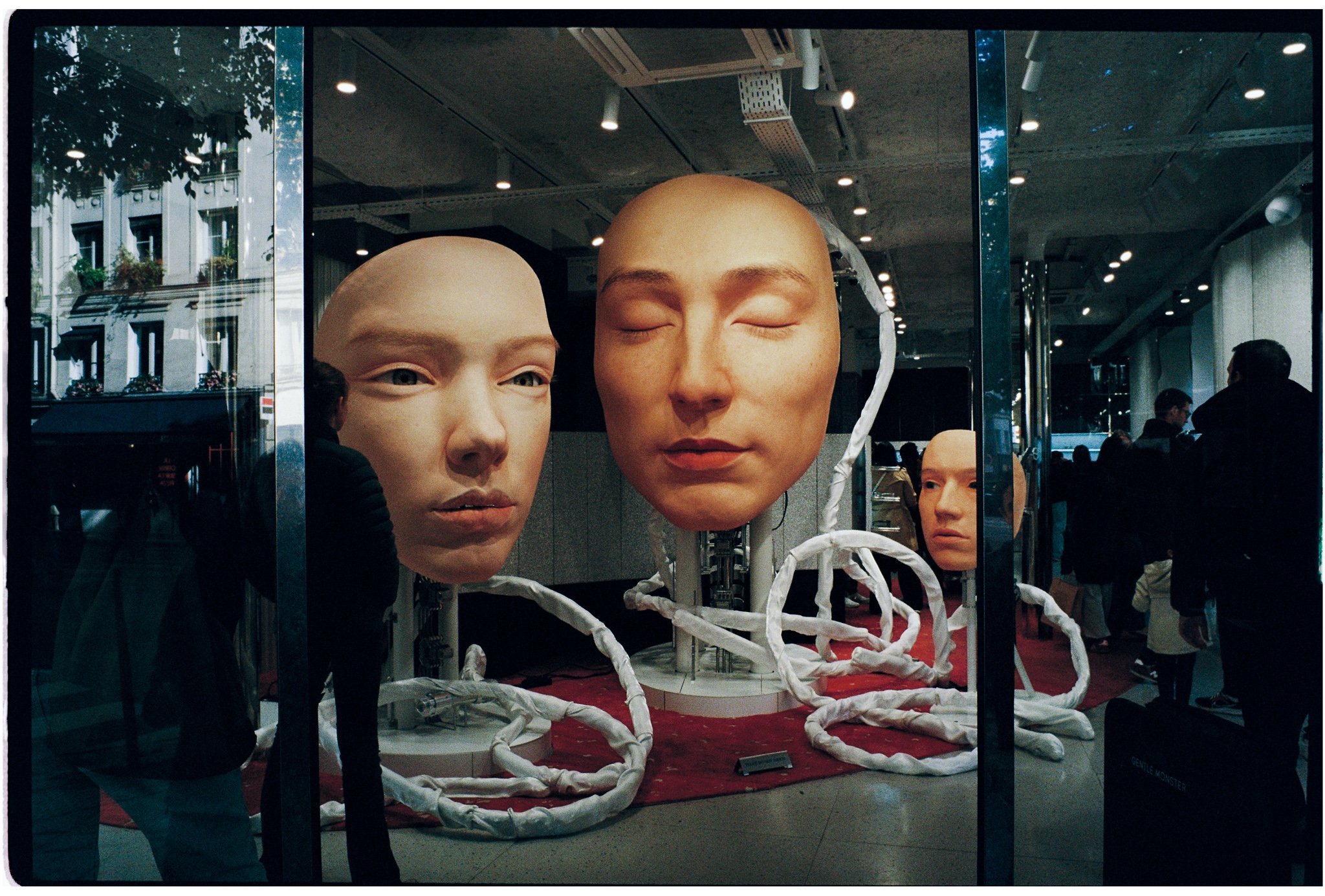 A display in a store window featuring realistic masks of a man's and a woman's faces, with closed eyes, mounted above a skeletal structure. Reflections of buildings and trees are visible in the window glass.