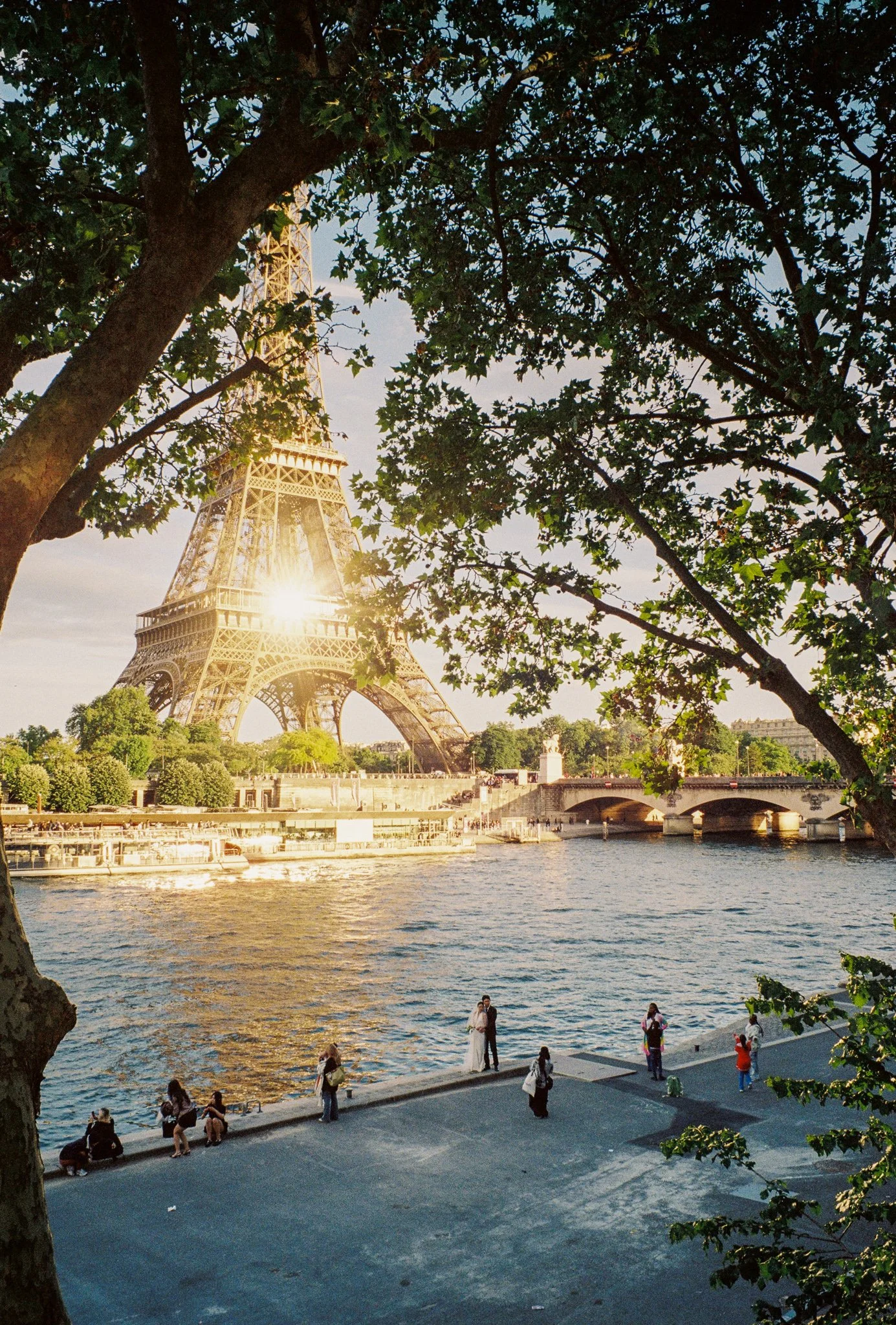 The Eiffel Tower, partially obscured by green trees, is seen during sunset with the sunlight shining through. There are people along the riverbank in the foreground, some sitting and some walking.