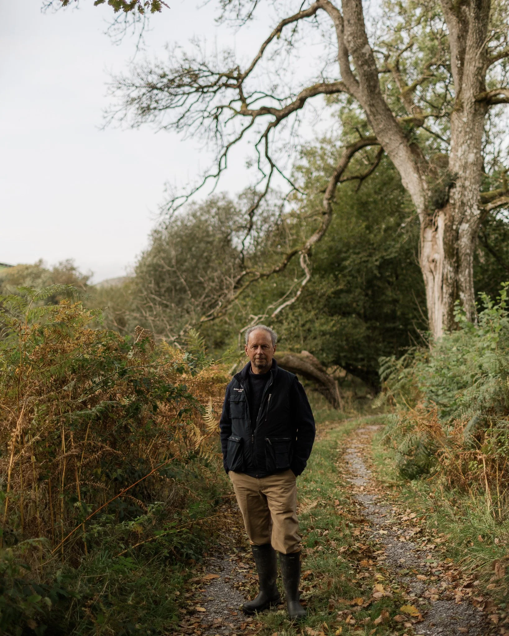 A man walking on a narrow dirt and gravel trail surrounded by green vegetation and trees, with a large, leafless tree arching overhead.