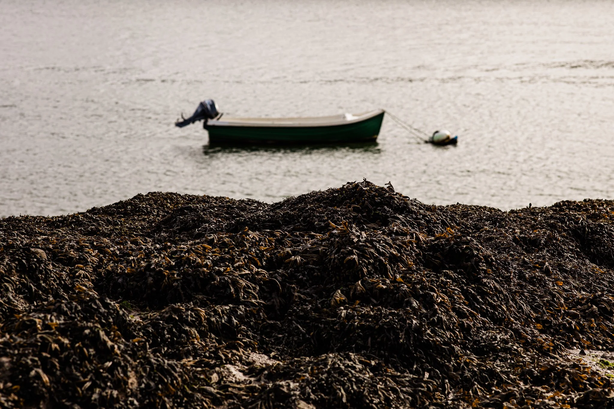 atlanticedge_-5.jpg