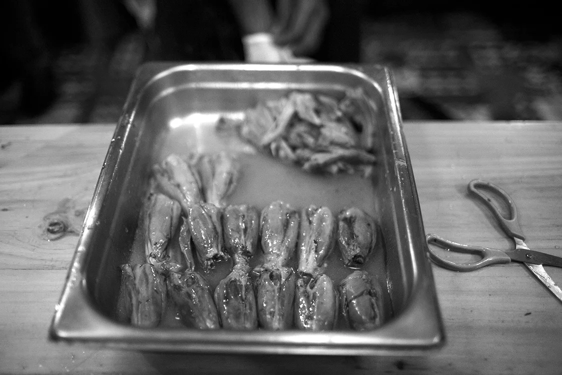 IMG_0281 copy.jpg