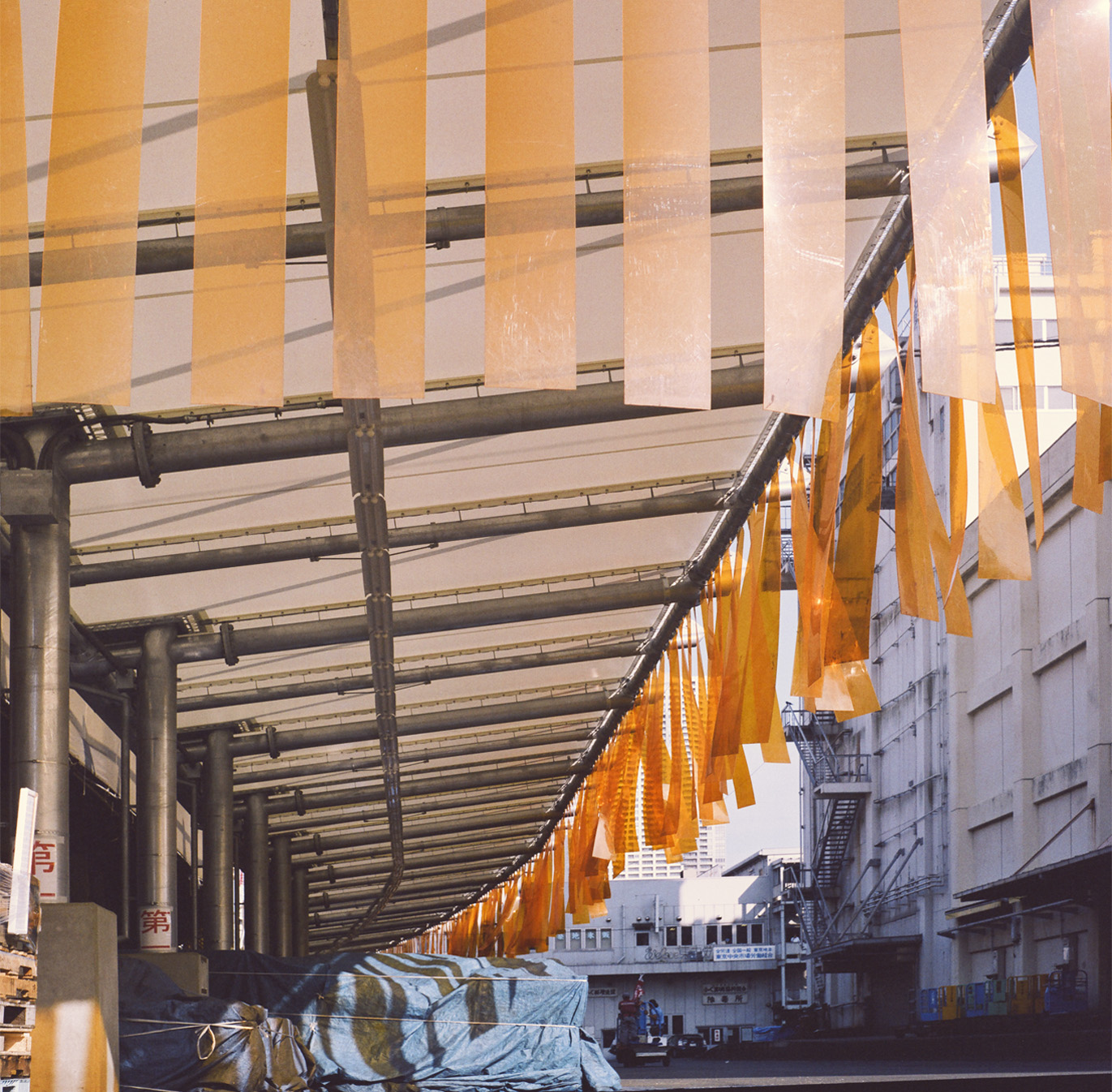 tokyotmarket01.jpg