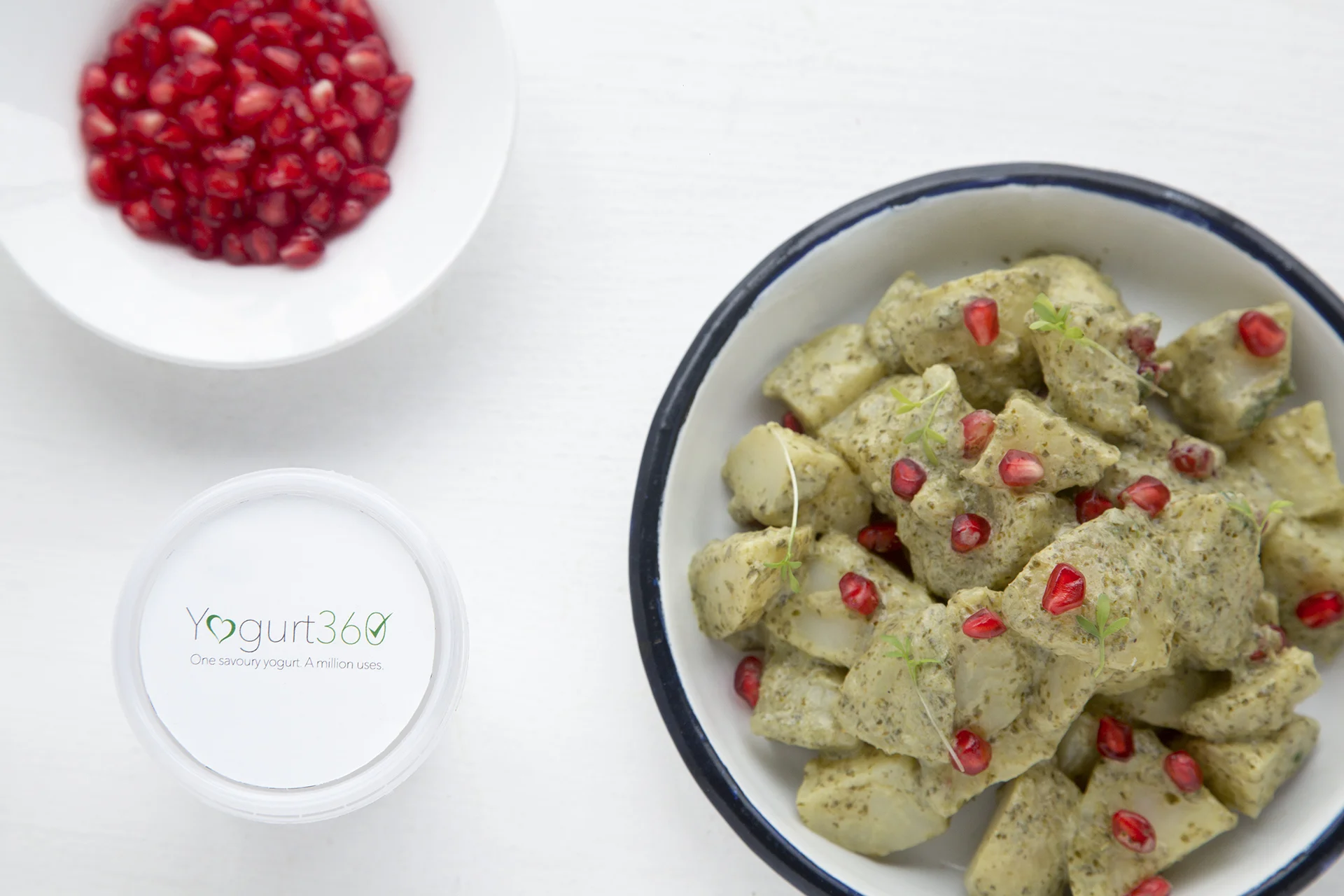 yogurt 360day 2-1618 copy.jpg