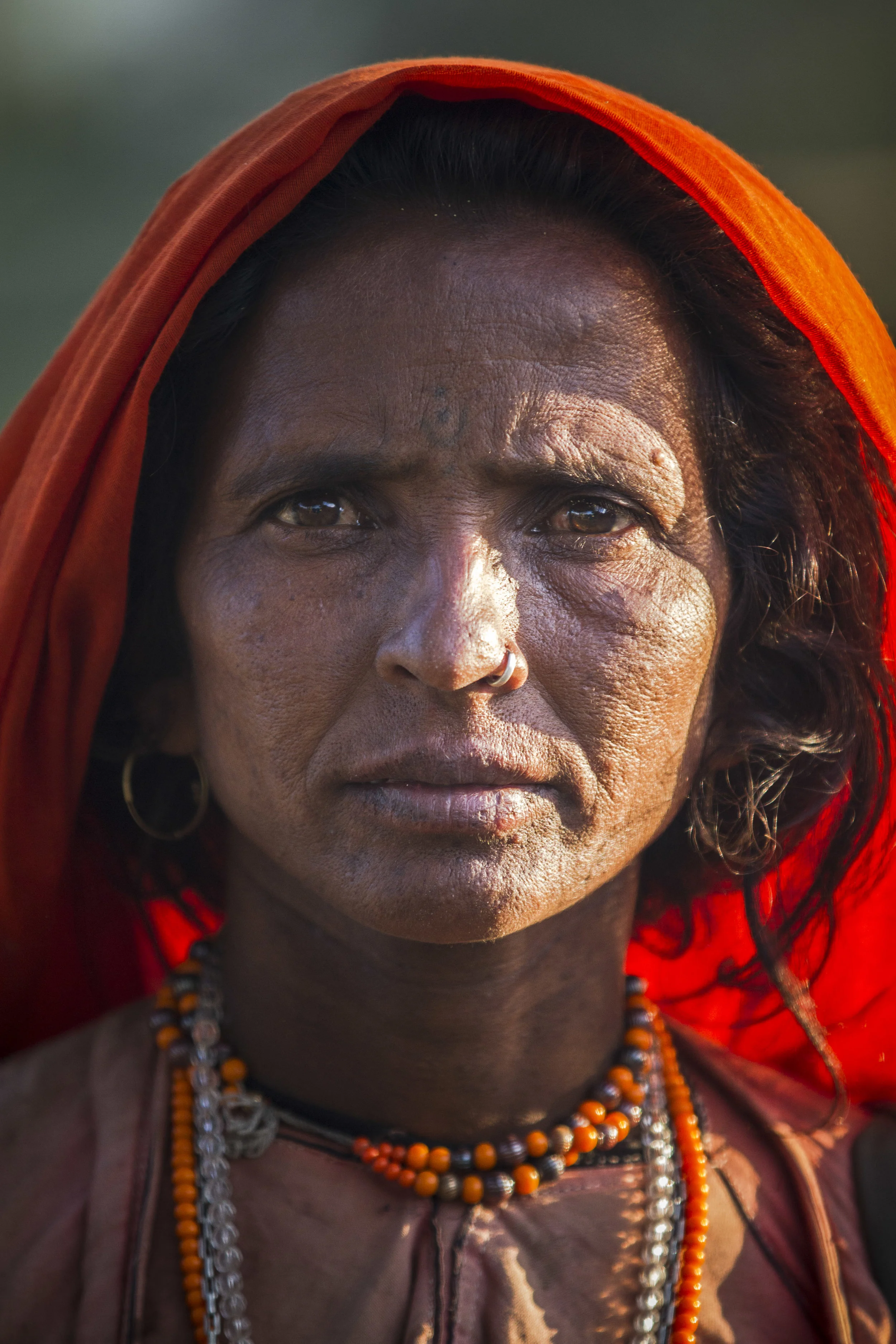 _MG_0645[1] copy.jpg