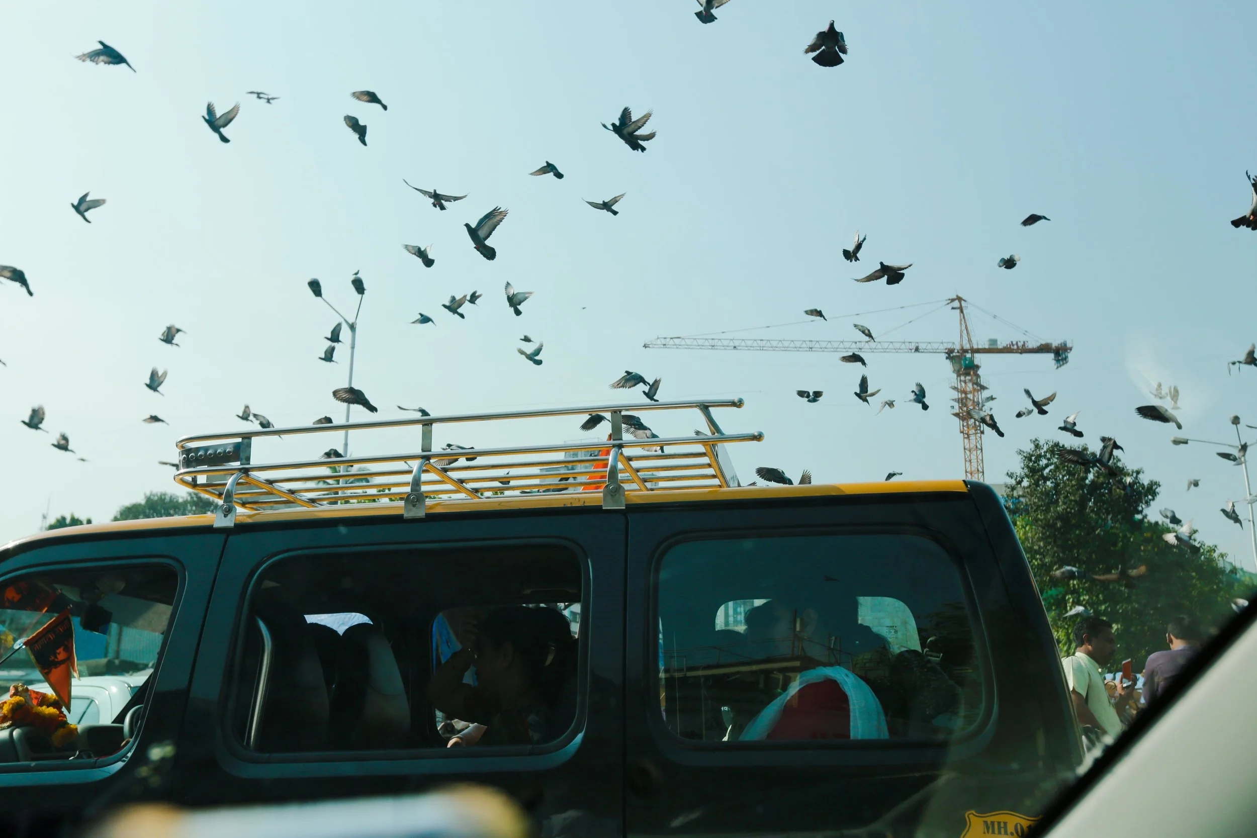 E58A8337 copy - Copy.jpg