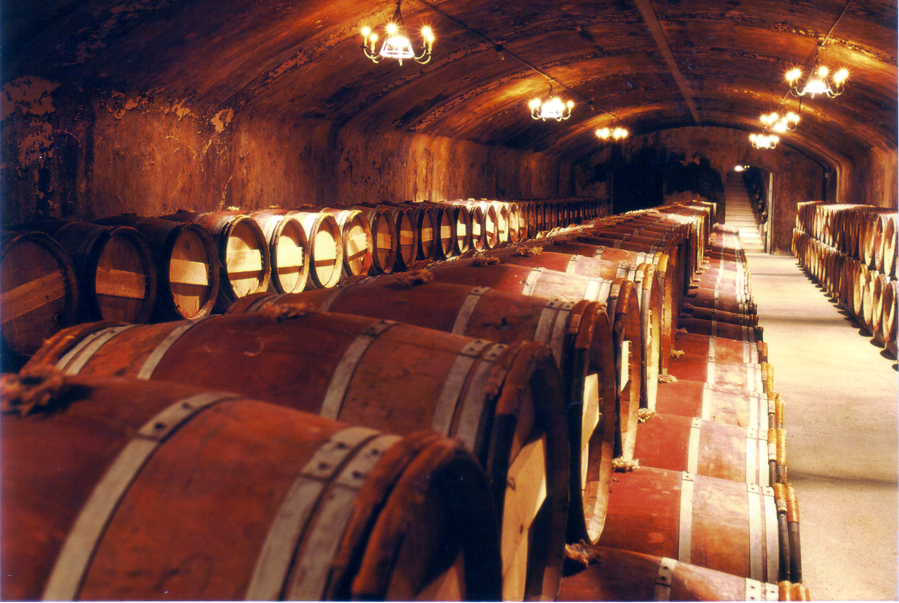 Lafite-cellar.jpg