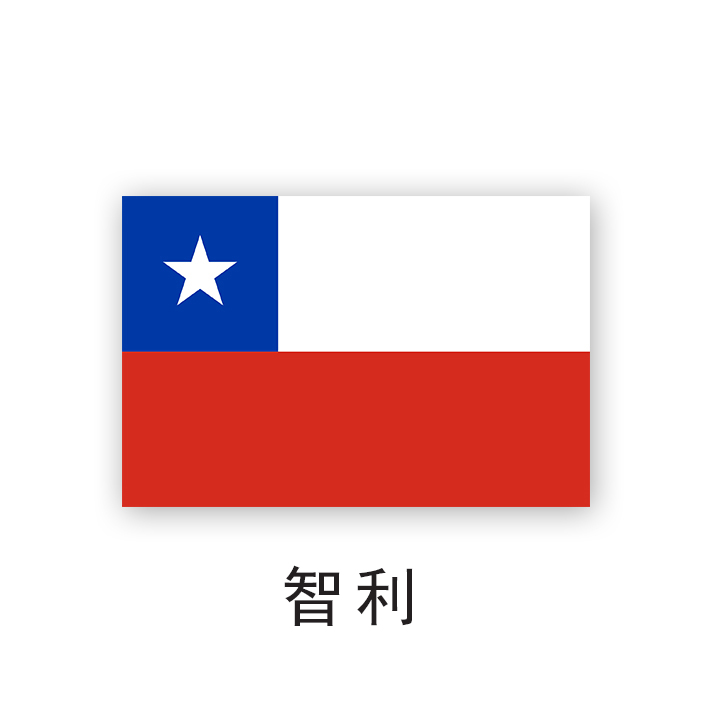 flag chile c.jpg