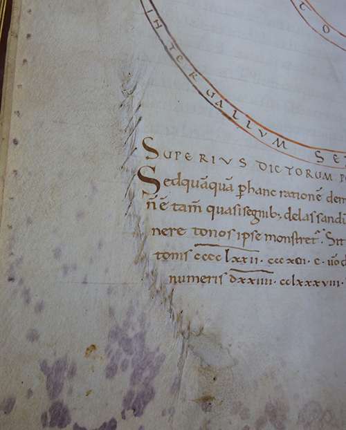 Detail of a parchment repair from an 11th century manuscript. Image by Libby Melzer.