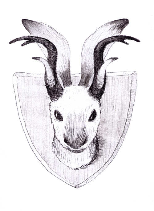 I drew this creature to show Wheeler, as it sounded very much like his jackalope. Only I saw this on the wall of a chalet in the Alps, before the war—the owner said he caught it in a snare, in the woods behind his house.