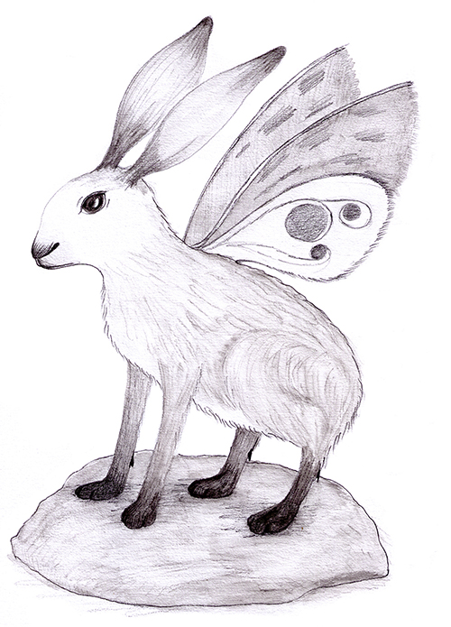 Late last night I came across this delightful creature, which reminds me of the Swedish skvadar —theirs is a kind of winged hare, but with feathery wings like that of a bird; this animal was much smaller, with soft, powdery wings like a moth or butterfly. I thought about pursuing it for Morshead’s collection but it seemed wise not to risk angering the Tibetans further. I worry there will be a great price to pay later if we do not rein in our collecting. Bell was very clear on that point—and I confess the longer I am in the Himalaya the more I am sympathetic to the Buddhists' feelings on these matters. To see it wilted and still in a jar would have broken my heart.