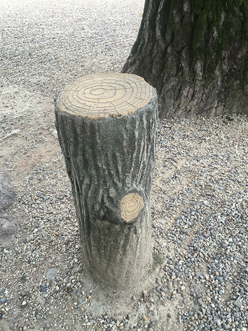 Fake stump, real tree . Photograph by Savina Hopkins, 2015. Savina Hopkins is a Melbourne artist.
