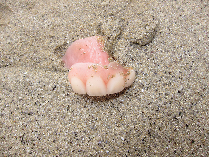 Shore thing (found teeth on a beach) , by Savina Hopkins, 2015. Savina Hopkins is a Melbourne artist. 