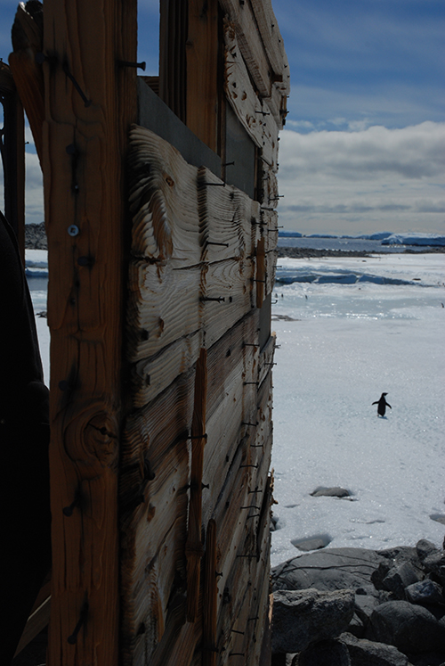 Transit Hut, Cape Dennison, December 2009. Surviving nails remain as evidence of wooden battens worn away by the wind and snow.
